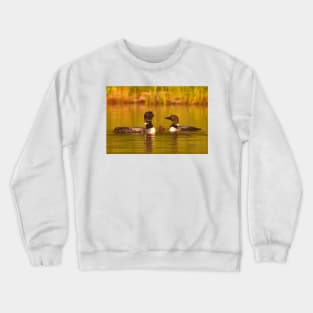 Common loon family portrait Crewneck Sweatshirt